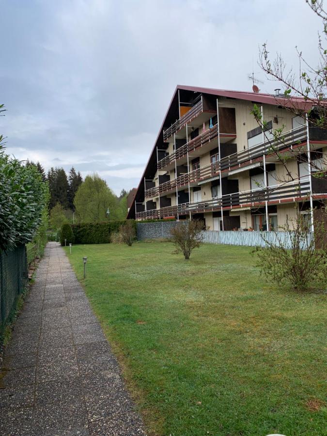 Ferienwohnung Lara Ludwigswinkel Экстерьер фото